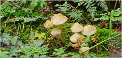 20191012_144350